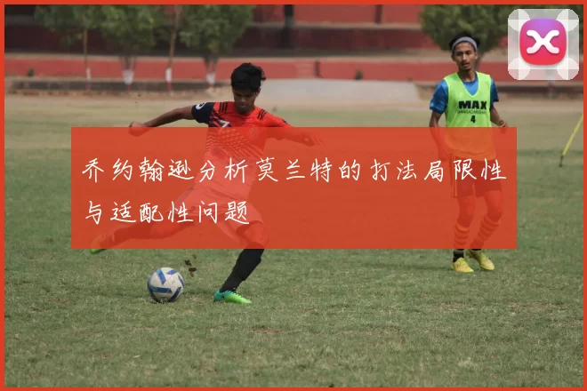乔约翰逊分析莫兰特的打法局限性与适配性问题