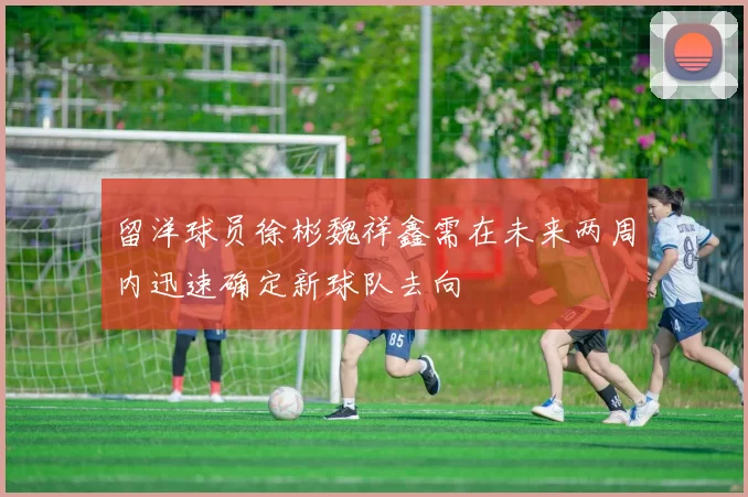 留洋球员徐彬魏祥鑫需在未来两周内迅速确定新球队去向
