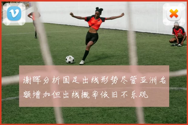 谢晖分析国足出线形势尽管亚洲名额增加但出线概率依旧不乐观